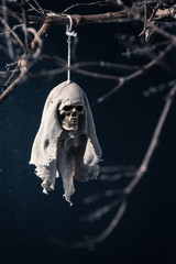 Human skull rainy doll dangle at the dried tree with dim and dark background, The idea from Teru...