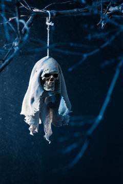 Human skull rainy doll dangle at the dried tree with a blue light at the back, The idea from Teru teru bouzu doll or rainy doll is tradition and culture of Japan