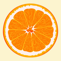 Vector illustration of citrus. Realistic juicy slice of orange.