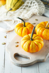Still life composition with colorful decorative mini pumpkins and pumpkin seeds. Mini orange pumpkins, holiday decoration.