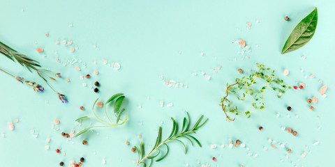 A panorama of culinary herbs and spices, shot from the top on a teal blue background with a place for text and logo