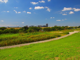 土手の上から見る秋の江戸川河川敷風景