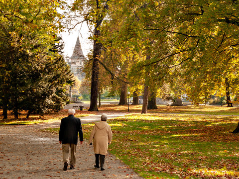 autumn, background, beautiful, center, city, culture, europe, european, fall, famous, foliage, forest, historic, landscape, limmat, natural, nature, old, orange, outdoor, park, place, platzspitz park,