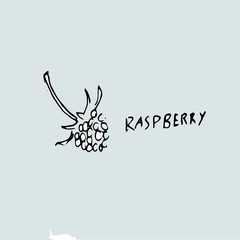picture of raspberry, pencil drawing of a berry and an inscription