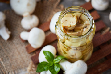 Fototapeta na wymiar Marinated pickled champignon mushrooms (Agaricus bisporus) in jar