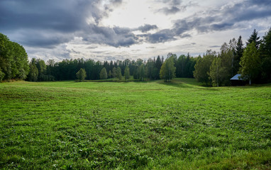 Green meadows with surrounding forest create a small idyll in Dalarna