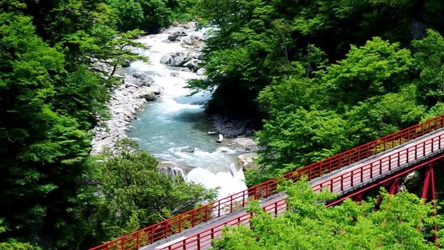 初夏の渓流（黒部川支流祖母谷川）