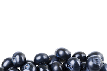 Ripe blueberries isolated on white background