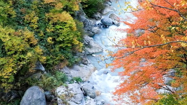 秋の渓流（黒部川支流祖母谷川）
