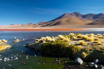 Fotobehang View of Laguna Colorada landscape, Altiplano - Bolivia. © Lukas Uher