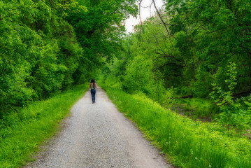 Fototapeta premium Woman walking down path along Chesapeake and Ohio Canal