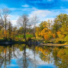 Fototapeta na wymiar Autumn colorful foliage over lake