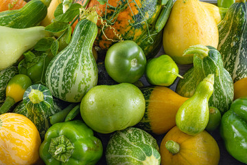 Beautiful fresh vegetables-pumpkins bell peppers bright colors, the concept of the crop. Beautiful background.