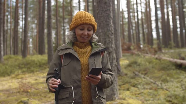 Panning of retired woman wearing warm bright clothes standing in forest with ski poles and smartphone in her hands and looking around