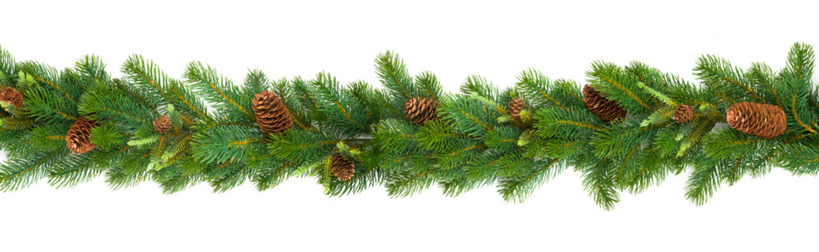 Garland With Green Fir Branches And Cones Isolated On White