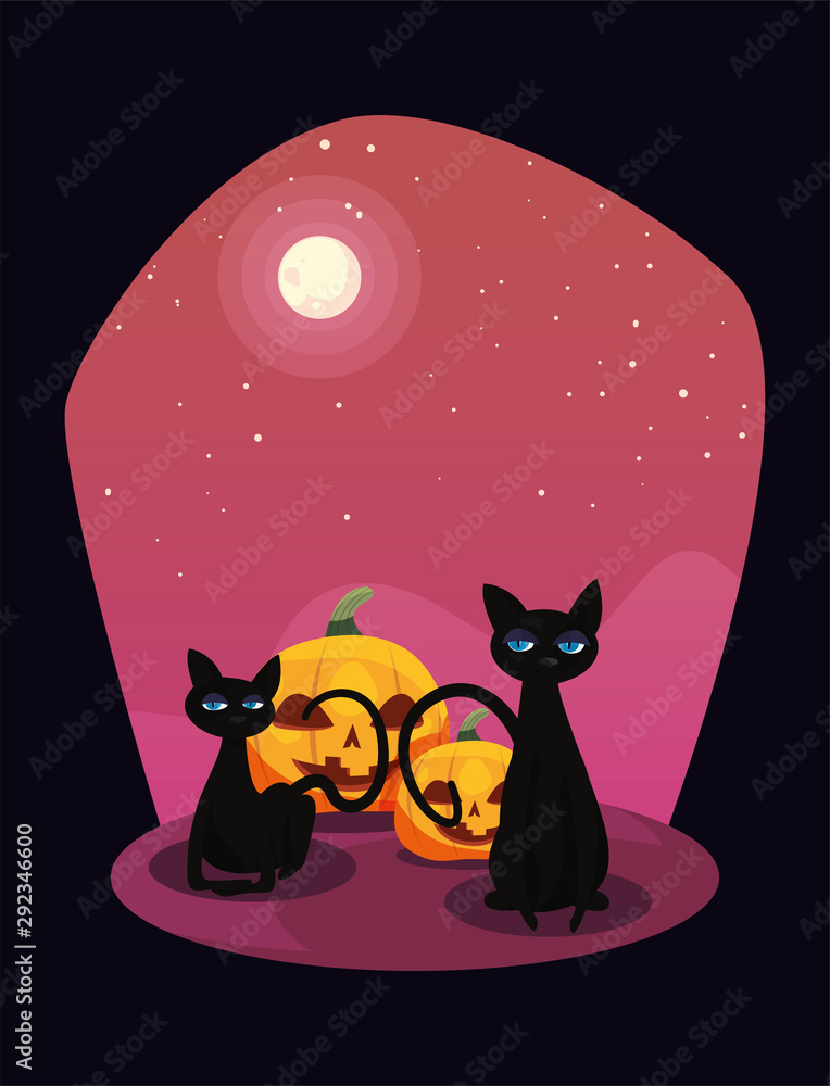 Poster pumpkin with black cat in scene of halloween