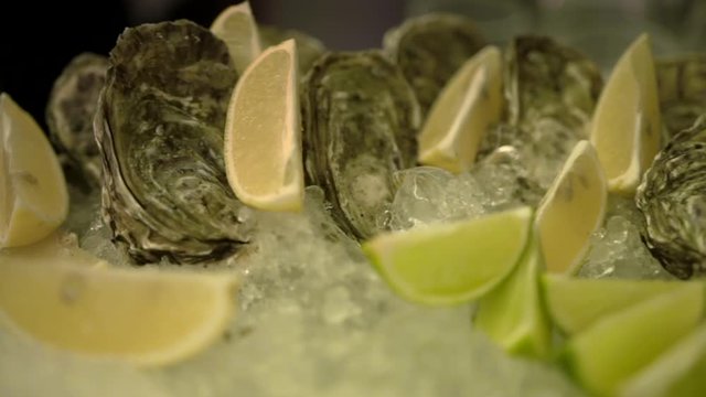 Set of fresh oysters in closed shells with lemon and lime slices on a metal tray covered with ice, close-up. A shellfish dish on a gala dinner. Seafood delicacies with citrus on a cocktail party.