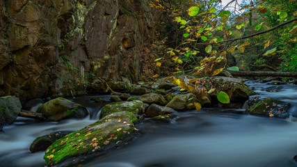 Waterfall with colorful leaves and green moss in autumn. Germany in the Bode Valley