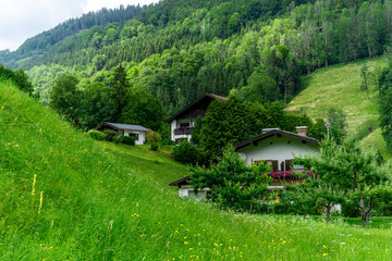 Fototapeta na wymiar View of a house in the mountains with a colorful meadow in the foreground