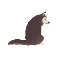 䄀渀最爀礀 栀甀猀欀礀 搀漀最 猀椀琀琀椀渀最 漀渀 琀栀攀 最爀漀甀渀搀 猀攀攀渀 昀爀漀洀 戀愀挀欀 瘀椀攀眀