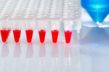 Plastic tube with blue DNA amplification mixture and red tubes with PCR samples