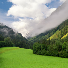 Picturesque alpine valley and pasture with green grass and mountains in the fog