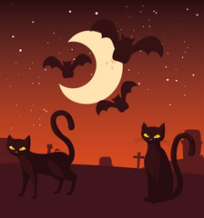 black cat with moon in scene of halloween