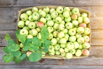 Box with apples on a wooden background, top view. Autumn harvest