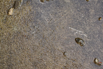Cracked concrete texture closeup background