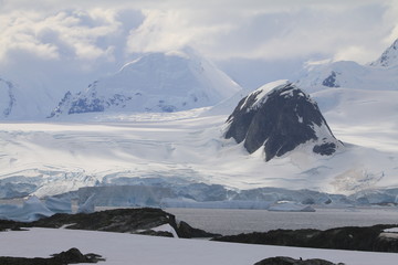 malownicze ośnieżone i skaliste wybrzeże antarktydy  - obrazy, fototapety, plakaty