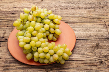 Bunch of sweet green seedless grapes variety 