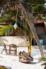 Swing seat hanging from palm tree at rustic but trendy beach bar/cafe