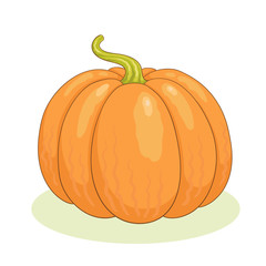 Big orange pumpkin. In cartoon style.  Isolated on a white background.