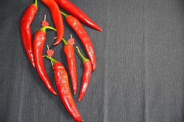 On a gray background composition with fresh red chili peppers.