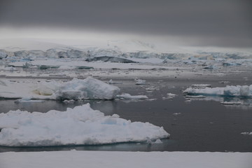 malownicze kry i góry lodowe na spokojnym morzu w pochmurny dzień