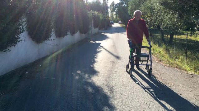 Elderly man with walker and his dog outdoor, backlit front view