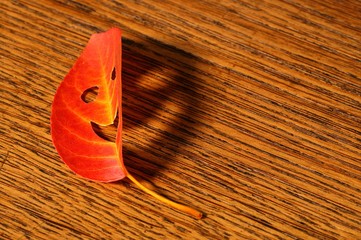 Happy leaf with shadow on wooden rustic background