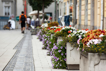 Beautiful landscape view of amazing street in Graz with row of flowers