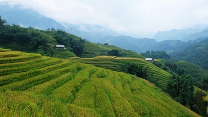 Rice fields and mountain ranges, paddy rice terraces.