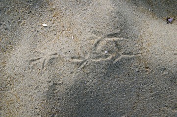 Vogelspuren im Sand