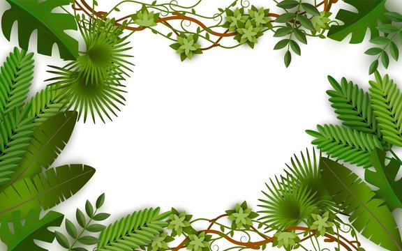 Tropical jungle frame with green leaves from exotic plants
