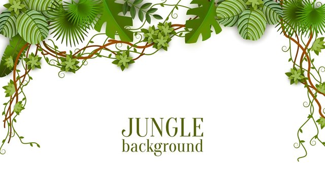 Tropical jungle lianas vine and palm leaves banner vector illustration isolated.