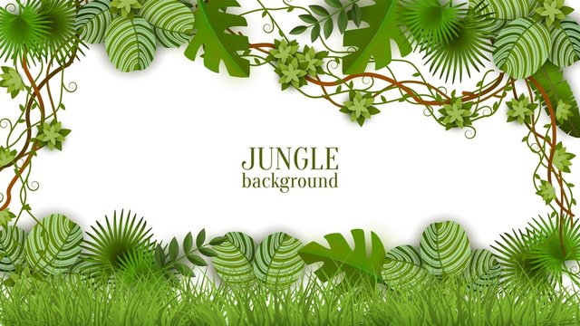 White jungle background with green palm leaves and liana vines - realistic exotic nature foliage on blank rectangle text template