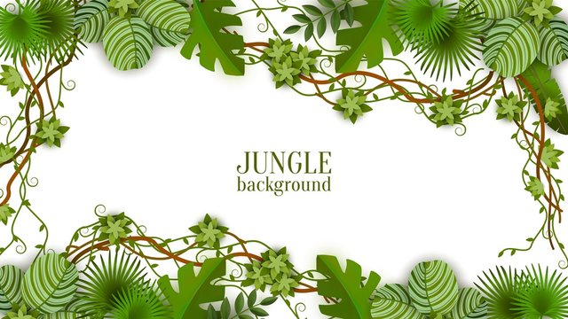 Tropical green background and frame with jungle, vines, exotic leaves and plants.