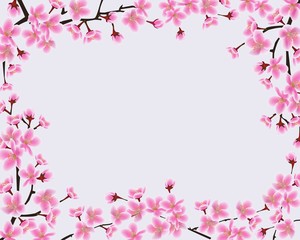 Obraz na płótnie Canvas Frame of blossoming sakura branches with blank space.