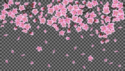 Spring sale banner with cherry or sakura flowers vector illustration isolated.