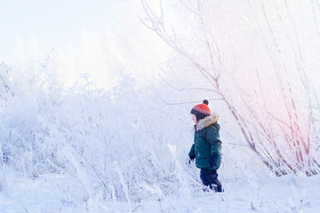 Fototapeta na wymiar A boy in a bright orange hat walks through the snowy winter Park