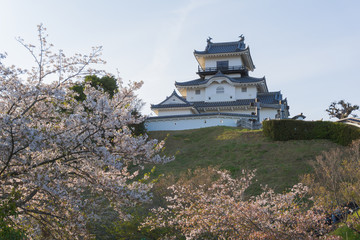 Fototapeta premium Kakegawa castle with sakura blooming season
