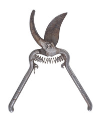 Old rusty garden pruner is open on an isolated white background