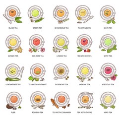 Different tea types - vector illustration set. Colorful herbal drink collection